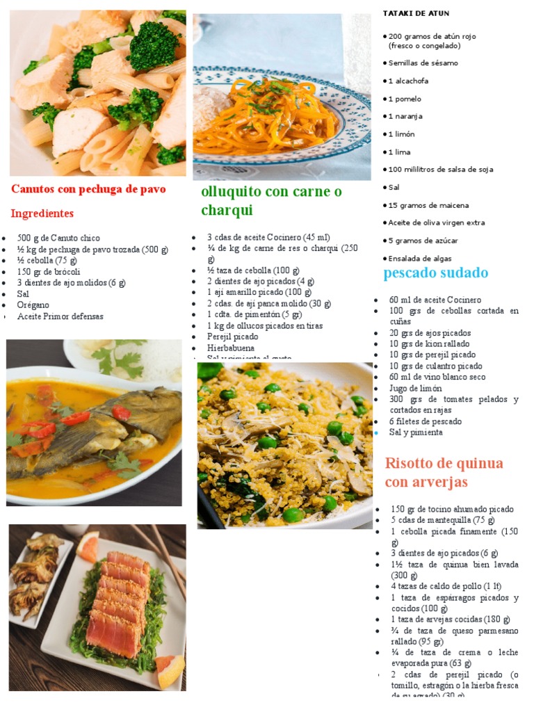 platos-nutritivos-pdf-cilantro-alimentos