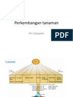 Fisiologi Pertumb Perkembg PDF