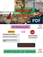 Avicultura - Manejo Sanitário