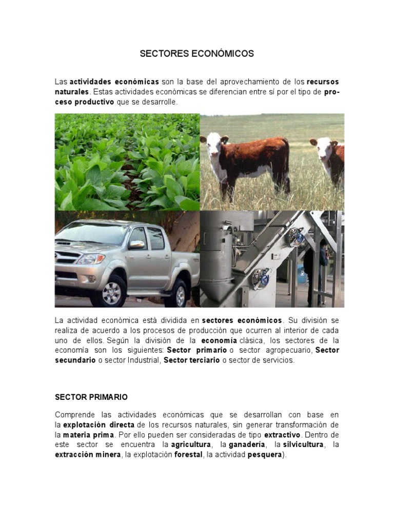 Sectores Económicos: Primario a Cuaternario | PDF | Minería | Sector ...