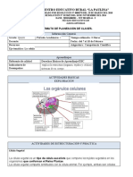 Quinto, Semana 4 Ciencias