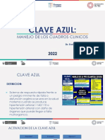 Tema 2 Clave Azul 2022 PDF