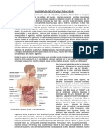 07-08 Fisiologia Digestivo 1