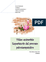 Video Entrevista - Experiencia Sobre Psicoterapia