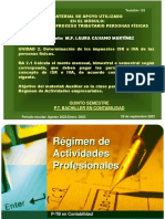 Régimen Actividades Profesionales PDF