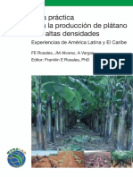Guia Practica para La Produccion de Platano Con Atlas Densidades Experiencias de America Latina y El Caribe 1373 PDF