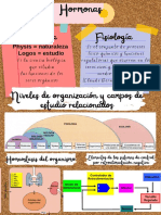 Hormonas PDF