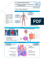 Material-Biologia-Sem03-Condori Dianderas