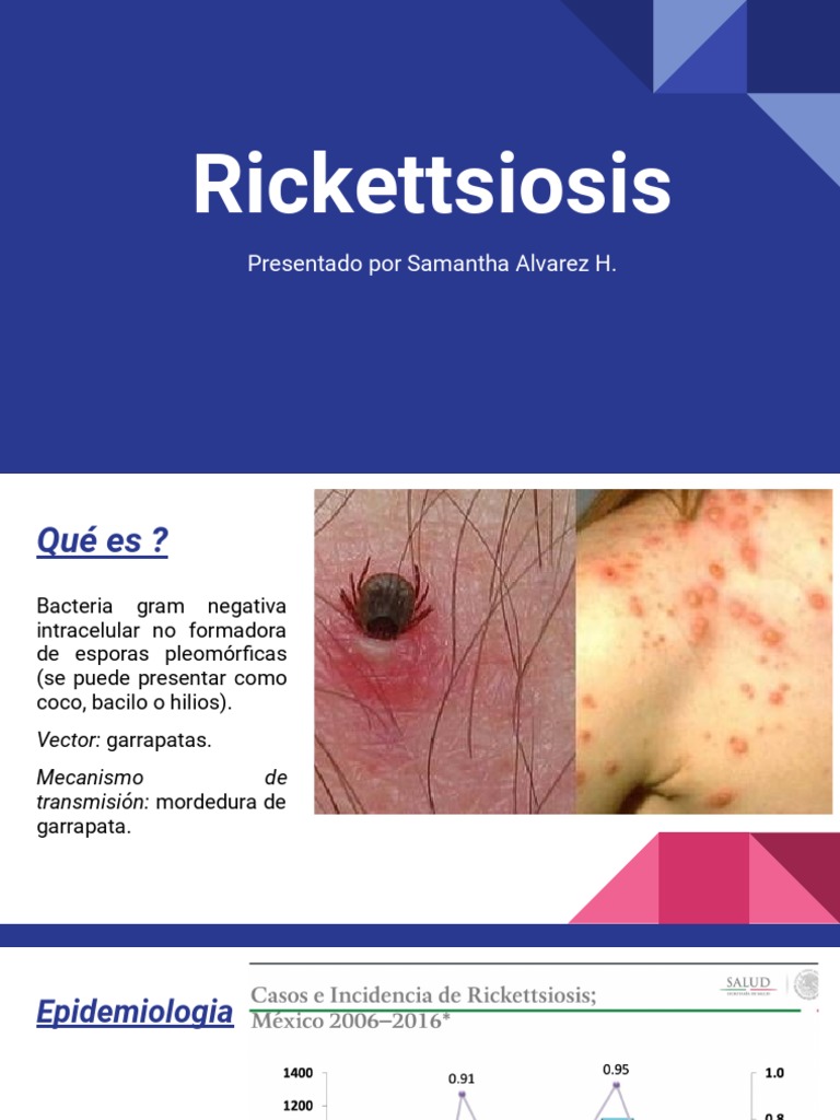 Rickettsiosis | PDF | Especialidades Medicas | Medicina