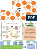 Tejido Conectivo-Exposición