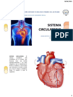 Aparato Circulatorio