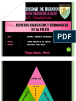 ANATOMIA Y FISIOLOGIA DE LA PELVIS