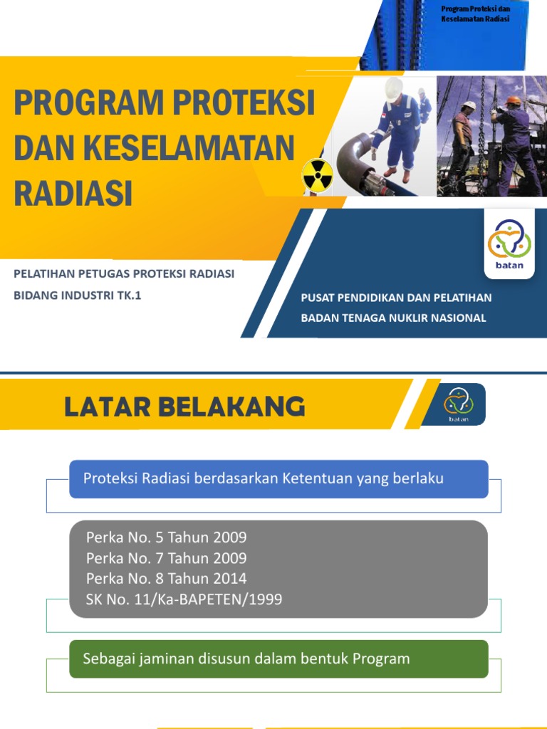 15 2019 Program Proteksi dan Keselamatan Radiasi PPR Ind-1 | PDF