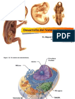 Tema 1 Desarrollo Del Sistema Nervioso Ust 2014 PDF