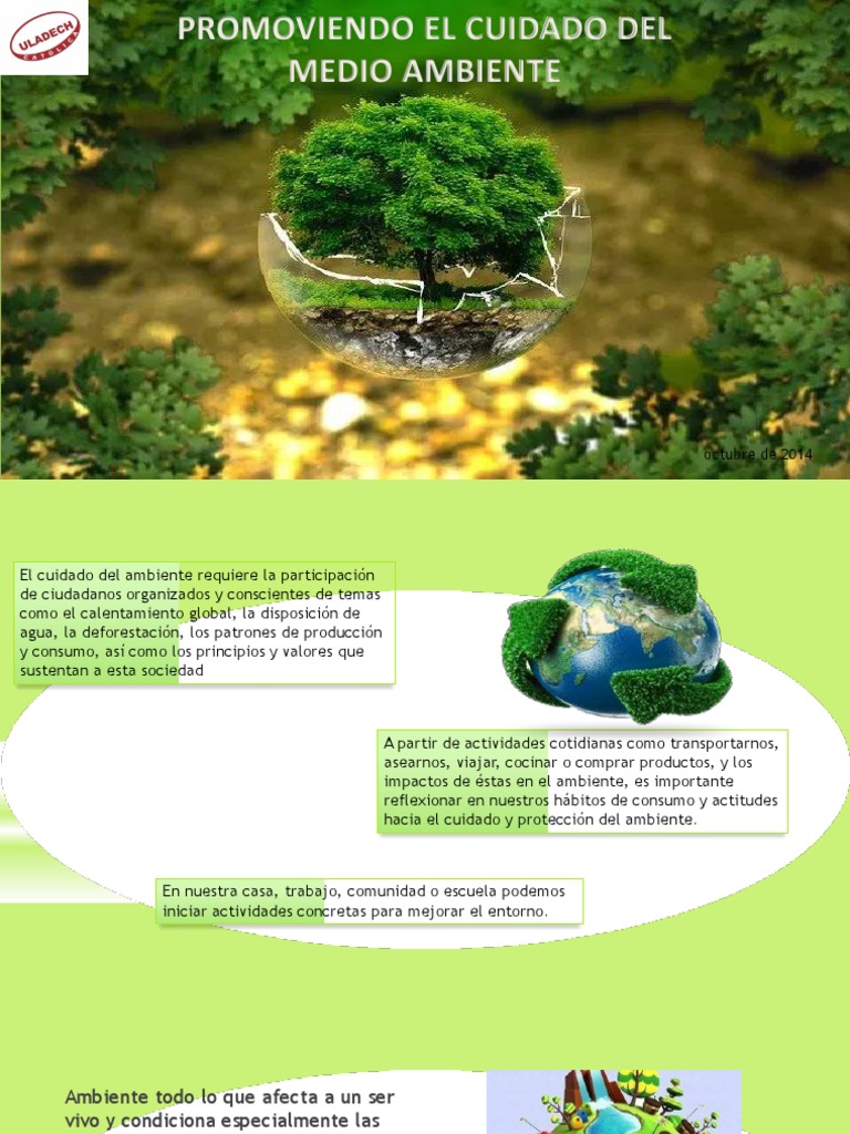 Promoviendo El Cuidado Del Medio Ambiente PDF | PDF | Entorno natural ...