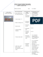 PDF Analisis Penilaian Harian