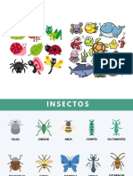 Anexos Insectos PDF