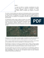 Field Observation PDF
