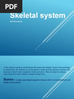 Skeletal System Animal Science