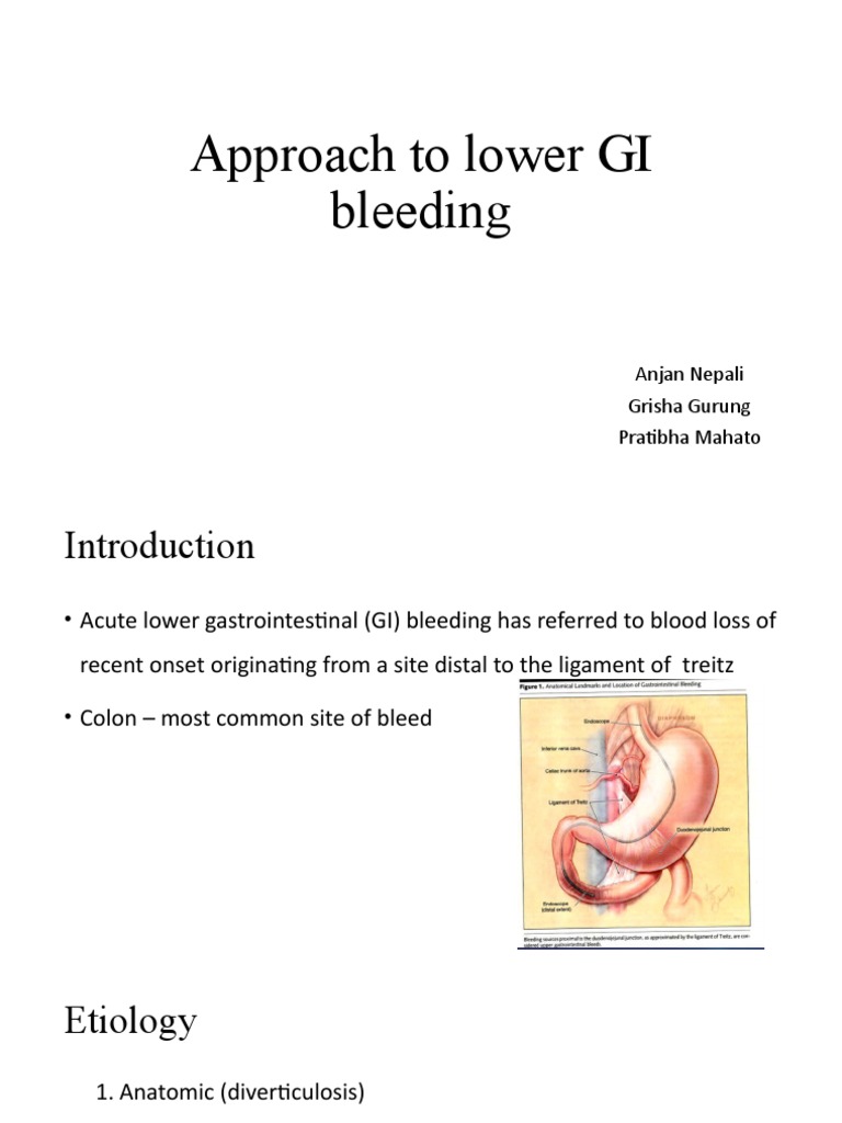 Lower GI Bleeding PDF Blood Tissue (Biology)