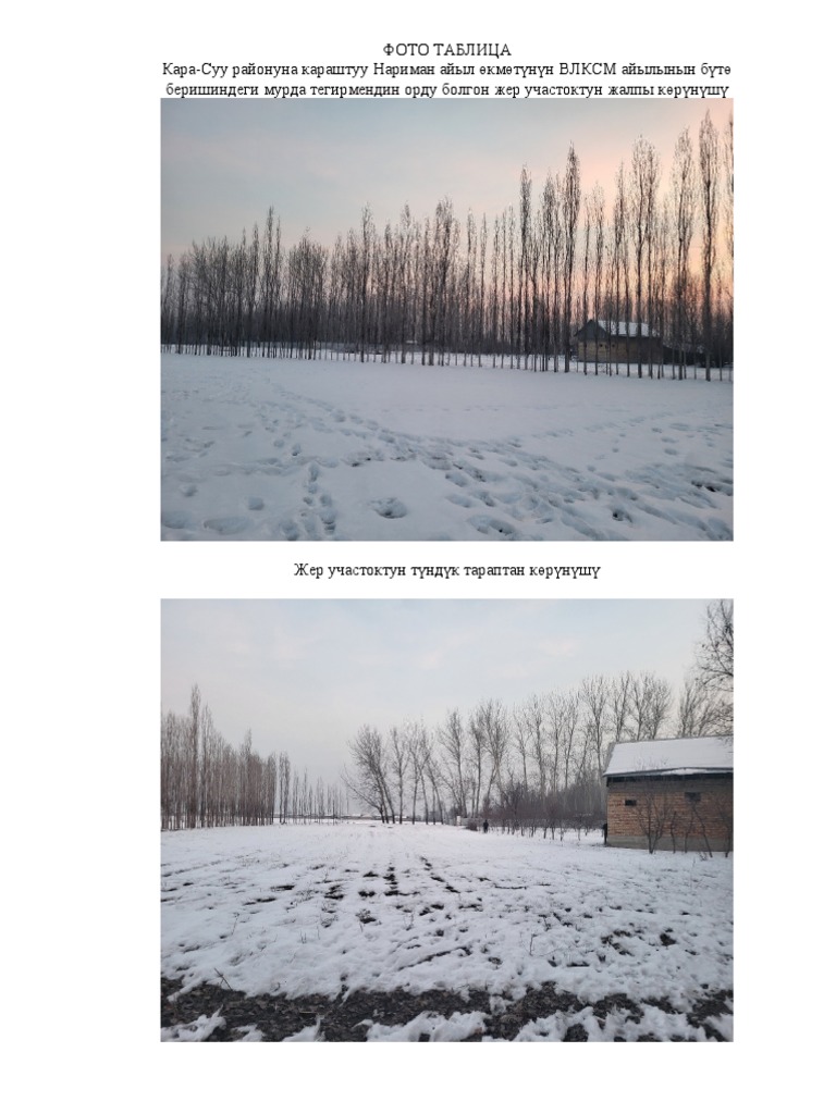 Фото таблица 1 | PDF