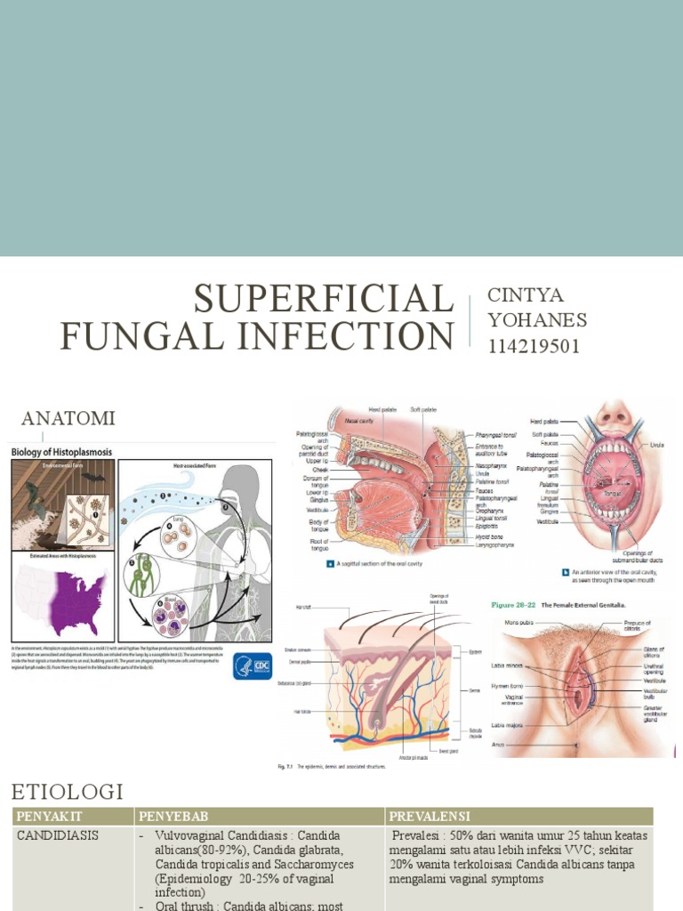 Superficial Fungal Infection | PDF