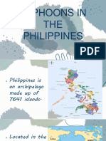 Typhoons in The Philippines PDF