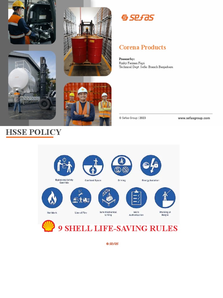Presentation Corena Products | PDF