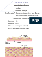 Lecture EpithelialTissues