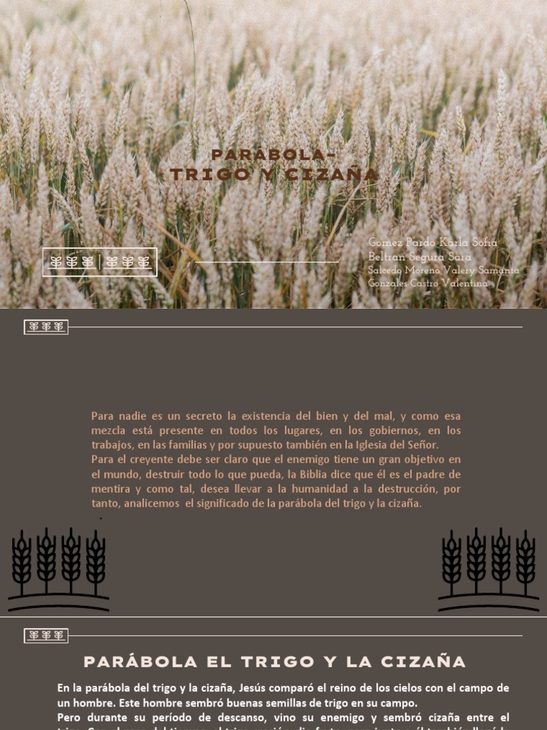 El Trigo y La Cizaña | PDF | Parábolas de Jesús