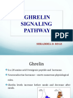 Ghrelin Signaling