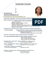 Curriculum Vitae AKE