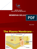 [M4] MEMBRAN SELULER.pdf