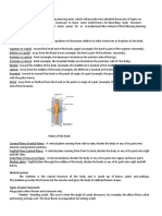 Anatomical Terminology