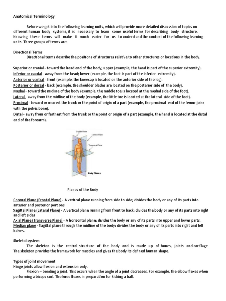 Anatomical Terms Of Motion Biology Diagrams