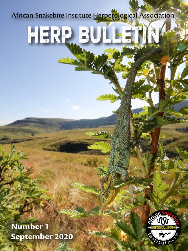 Herp Bulletin September 2020 PDF PDF Lizard Herpetology photo pic