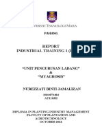 Template Final Report Fpa210 - Anisah