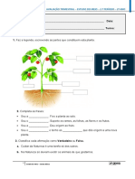 Avaliação Estudo Meio 2o Período