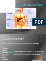 anatomiasistemadigestorioaula3 (1).pdf