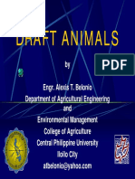 2 Draft-Animals