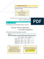 Esquemas "Reabsorción y Secreción Tubular Renal"