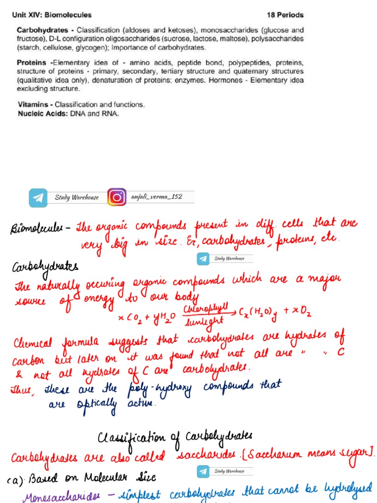 Biomolecules Notes PDF Study Warehouse PDF