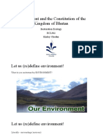 Environment and The Constitution of The Kingdom of Bhutan