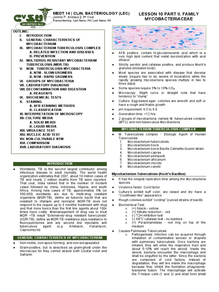 10-1-family-mycobacteriaceae-pdf-pdf-tuberculosis-mycobacterium