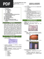 Detailed Microbiology Notes | PDF | Microorganism | Microbiology