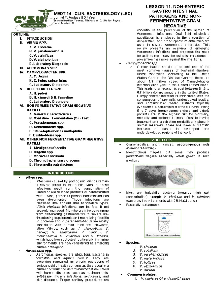 Non-Enteric Pathogens Overview | PDF | Cholera | Infection