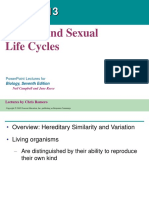 13 Meiosis