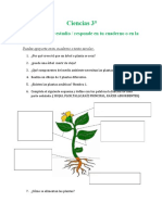 Cuestionario Ciencias 3° Básico