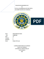 LAPSEM P6 - Mikrobiiologi - Rahmadhianida - 2200023064