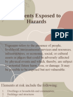 Elements Exposed To Hazards